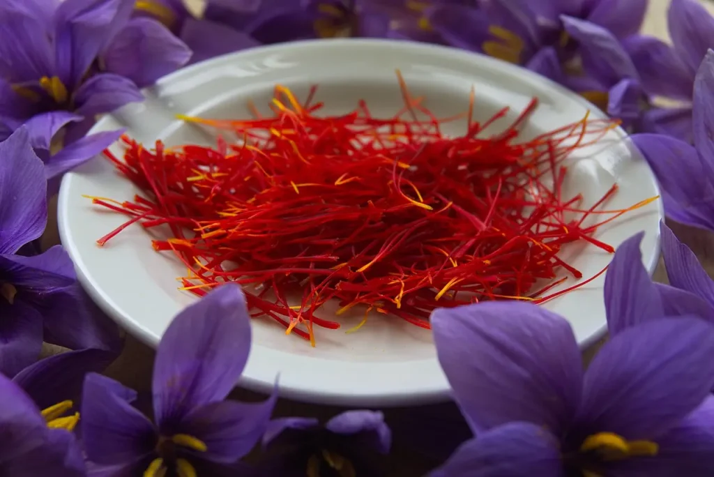 A close-up view of Iranian saffron strands on a white plate, surrounded by purple saffron flowers