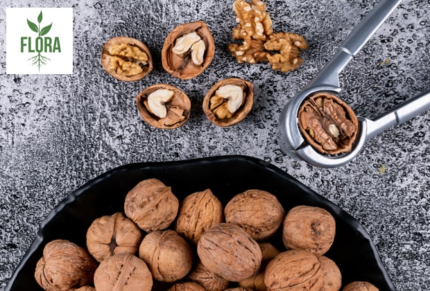 florasaffron Walnut